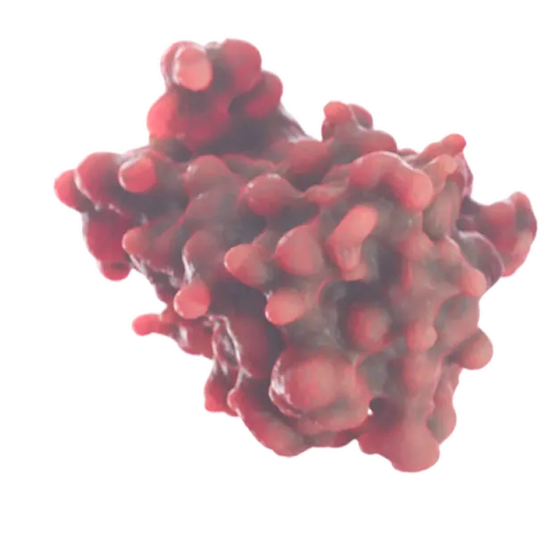 Protai Protai | Proteomics and AI Drug Discovery