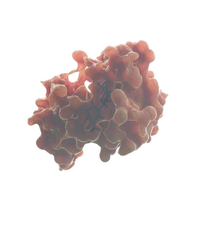 Protai Protai | Proteomics and AI Drug Discovery